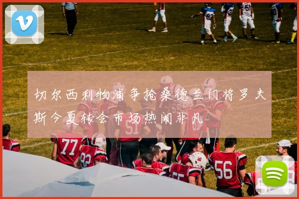 切尔西利物浦争抢桑德兰门将罗夫斯今夏转会市场热闹非凡