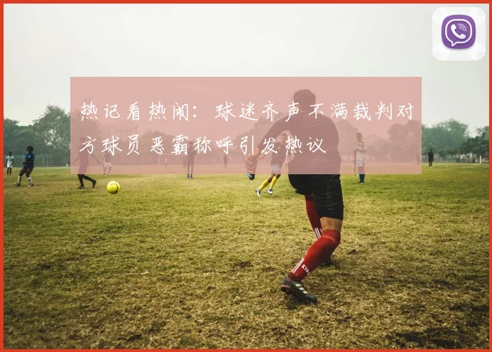 热记看热闹：球迷齐声不满裁判对方球员恶霸称呼引发热议