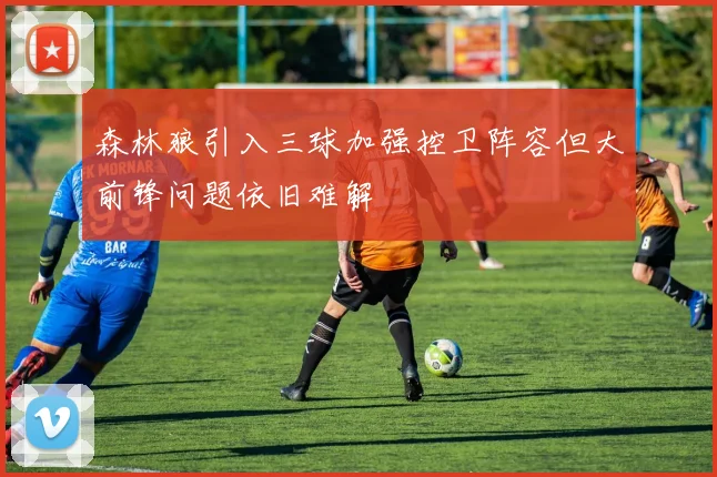 森林狼引入三球加强控卫阵容但大前锋问题依旧难解