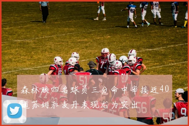 森林狼四名球员三分命中率接近40道苏姆和麦丹表现尤为突出